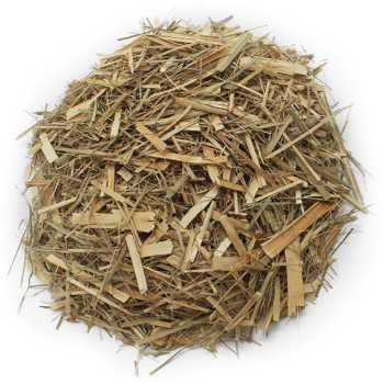 Trockenes Zitronengras