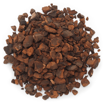 Kola Walnuss Schneiden Sie Obst