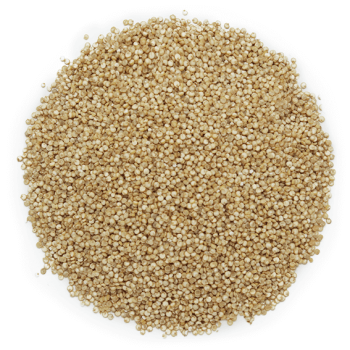 Semená quinoa