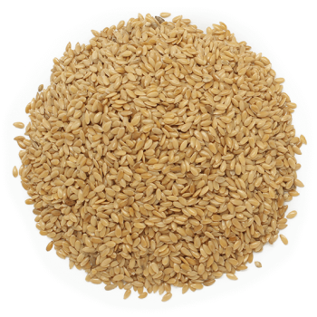 Semená zlatého ľanu