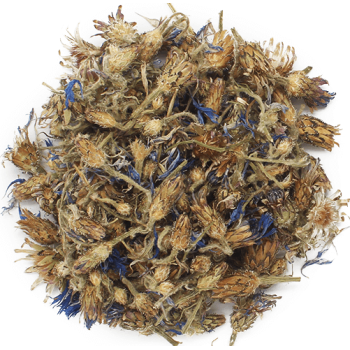 Trockene Kornblume