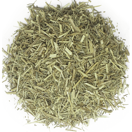 Dehydrovaná lucerna