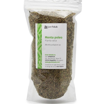 Kúpte si pennyroyal mätu na kožu. Online predaj bylín vo veľkom.