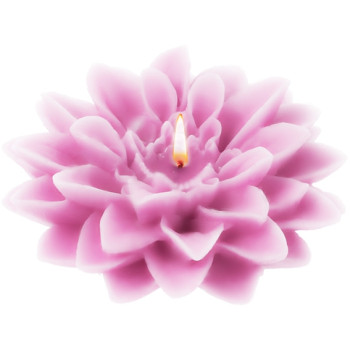 Forma na výrobu sviečok. Kvet Dahlia. Forma na výrobu sviečok. Kvet Dahlia.