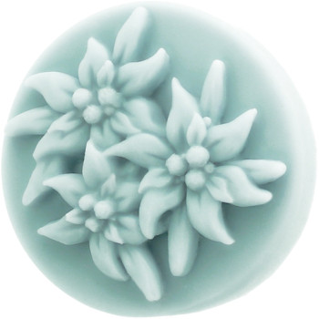 Pleseň na kvety Edelweiss