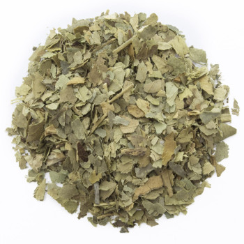 Orangefarbene Blätter