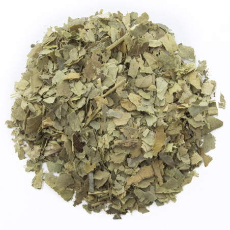 Orangefarbene Blätter