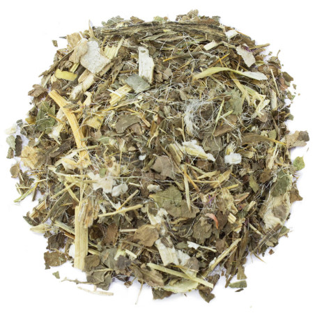 Listy ostropestreca mariánskeho