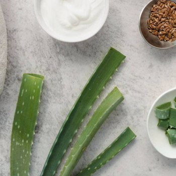 Aloe vera olej na použitie v prírodnej kozmetike. Aloe vera olej na použitie v prírodnej kozmetike.