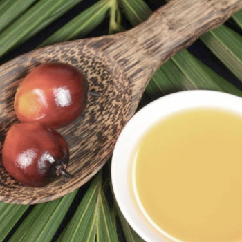 Rafinovaný palmový olej. Online predaj. Gran Velada Rafinovaný palmový olej. Online predaj. Gran Velada