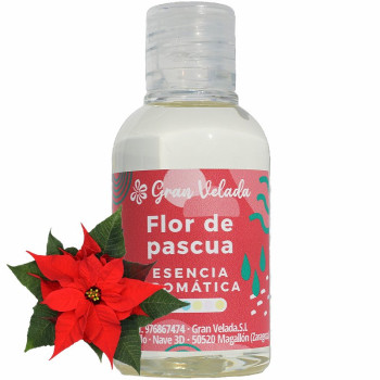 Aromatická esencia poinsettia : Prevoňajte si Vianoce červenými listami