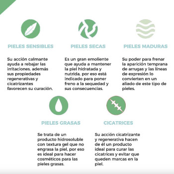 Aloe vera olej na použitie v prírodnej kozmetike. Aloe vera olej na použitie v prírodnej kozmetike.