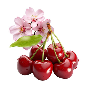 Aromatická esencia čerešne. Online predaj. Gran Velada Aromatická esencia čerešne. Online predaj. Gran Velada