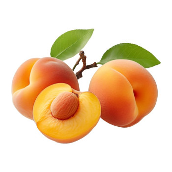 Super koncentrovaná esencia broskyne. Je rozpustný vo vode.