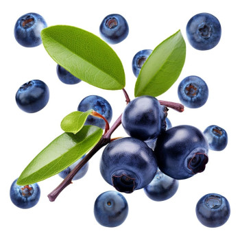 Vôňa čučoriedok pre kozmetiku a parfumériu. Vôňa čučoriedok pre kozmetiku a parfumériu.
