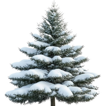 Snehová esencia s vôňou vianočného stromčeka - vianočná sviežosť pre váš domov