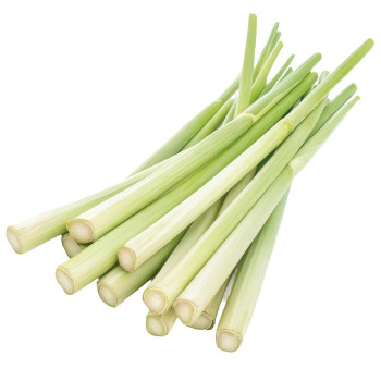Kúpiť esenciu citrónovej trávy. Lemongrass Online predaj. Kúpiť esenciu citrónovej trávy. Lemongrass Online predaj.