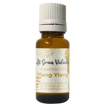 Ylang ylang esenciálny olej Ylang ylang esenciálny olej