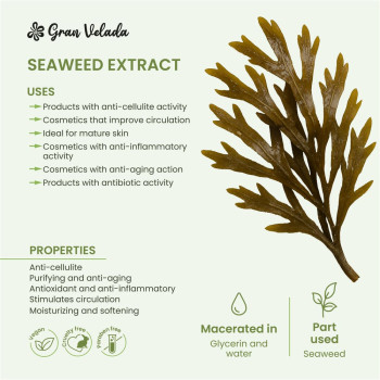 Extrakt z morských rias pre kozmetiku. Online predaj