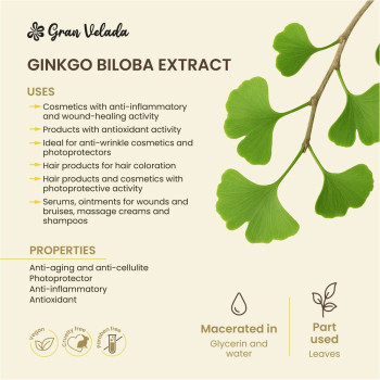 Extrakt z ginkgo biloba na pokožku. Online predaj Extrakt z ginkgo biloba na pokožku. Online predaj