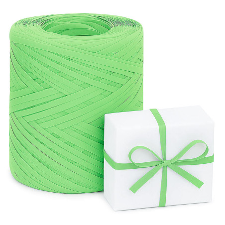 Jablková zelená rafiová stuha