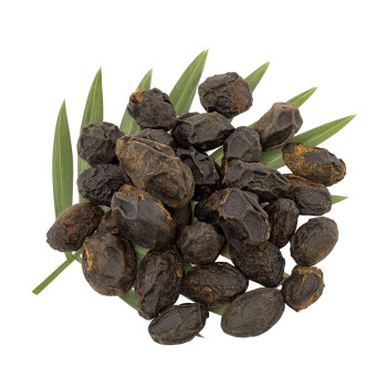 Sabalový extrakt na vlasy. Online predaj.