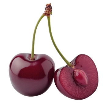 Esencia čiernej čerešne. Online predaj. Gran Velada