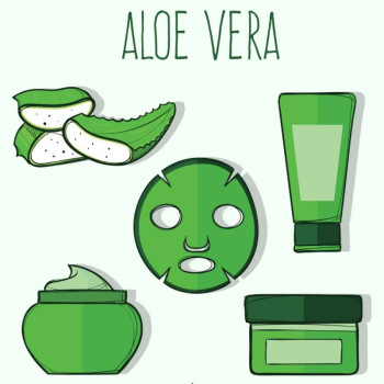 Olejový extrakt z aloe vera s hydratačným a upokojujúcim účinkom.