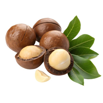 Aromatická esencia kokos-karité – Tropická a obklopujúca vôňa