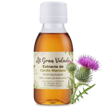 Extrakt z bodliaka - prírodná antioxidačná účinná látka